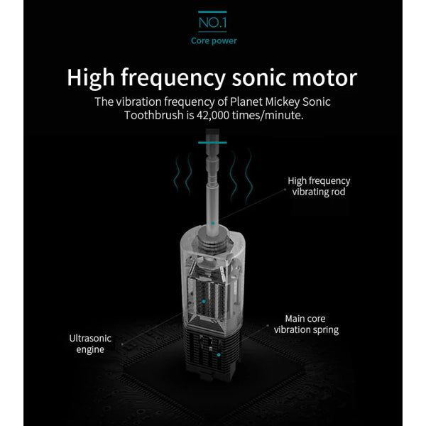 Periuta de dinti electrica sonica, 32000~42000 impulsuri/min, 6 programe, 800mAh, USB, IPX7, 4 capete, alb